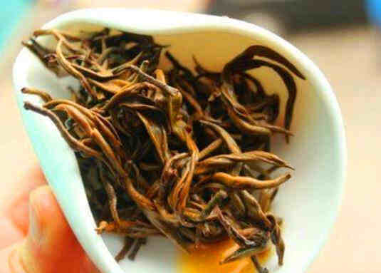 英德红茶属于是明前茶吗？