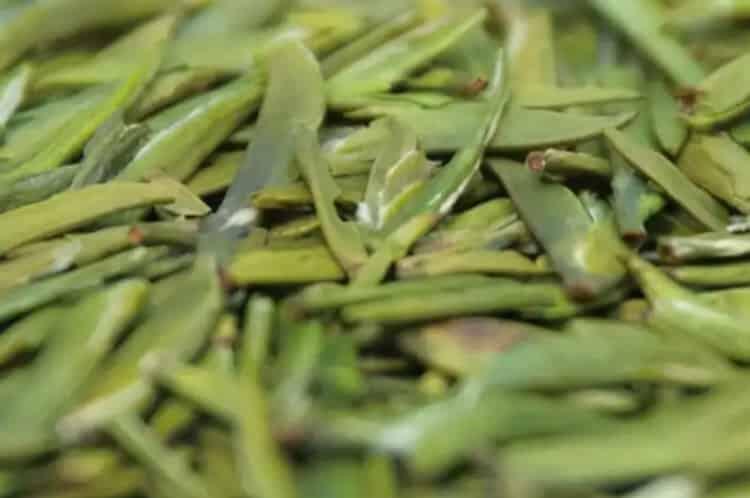 四川峨眉山茶叶品种_峨眉山最出名的茶叶是什么？