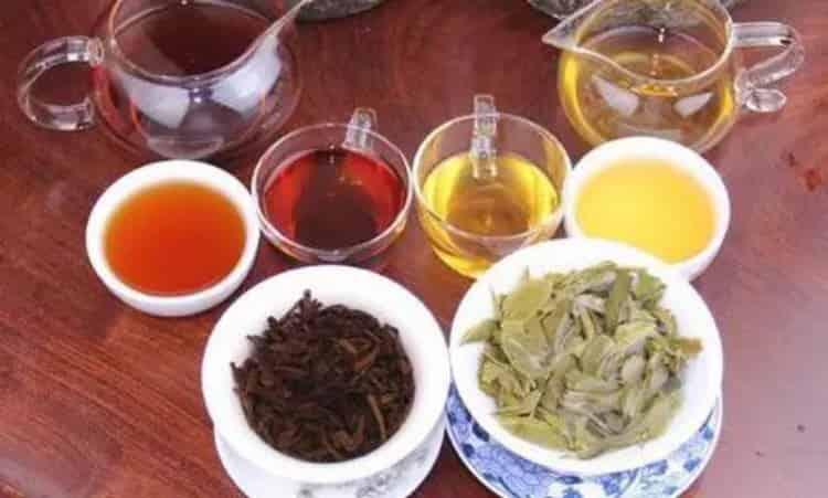 普洱茶生茶和熟茶的区别(普洱生茶与熟茶不同之处)