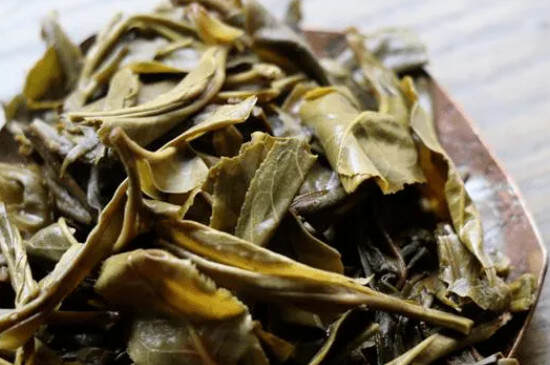 大片叶子的茶叶是什么叶子很大的茶叶叫什么茶？