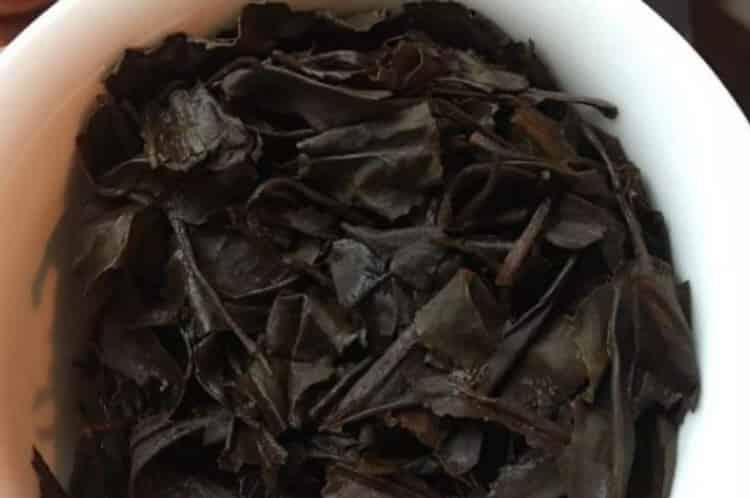 野茶属于什么茶叶品种_野生茶有哪些品种？