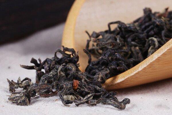 老鹰茶是什么老鹰茶属于什么茶种类