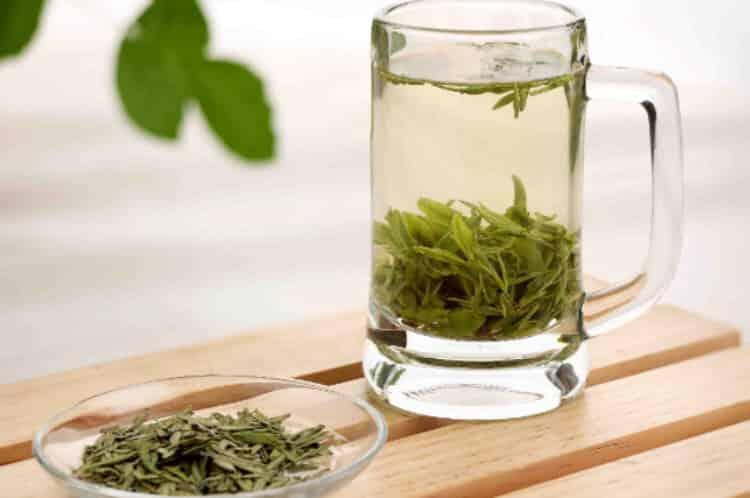 绿茶属于发酵茶吗