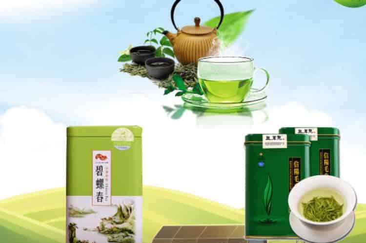 毛峰是绿茶吗
