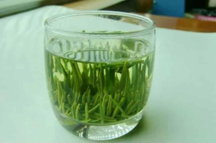 常喝绿茶有什么好处?夏天适合喝绿茶