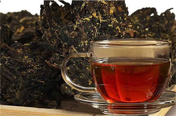 喝黑茶有哪些禁忌吗？