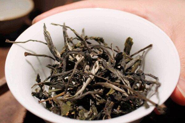 古树茶的特点和功效是什么_喝古树茶对身体有什么好处