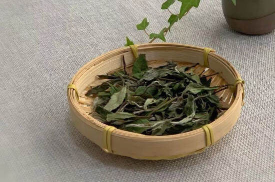 寿眉茶属于什么茶