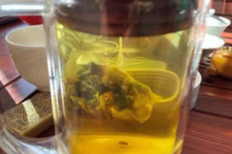 菊苣茶的功效和作用以及禁忌