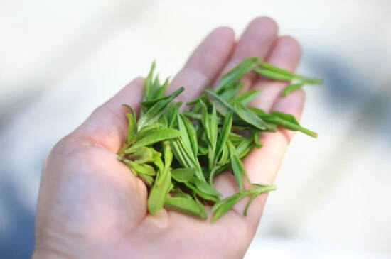 龙井茶是绿茶还是红茶