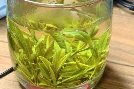 嫩芽茶叶是好茶叶吧_茶叶都是芽尖最好吗？