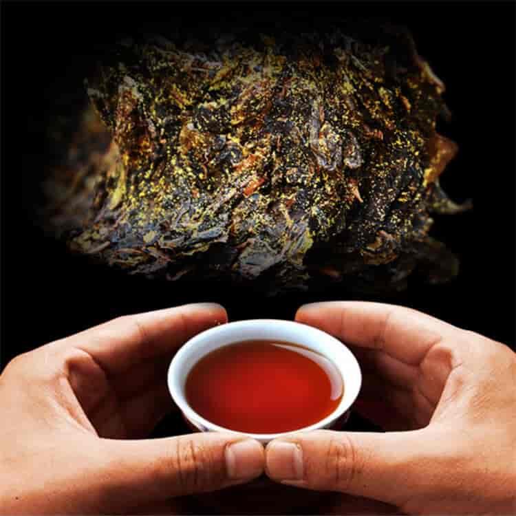 黑茶是可以喝的古董（黑茶的独特性）