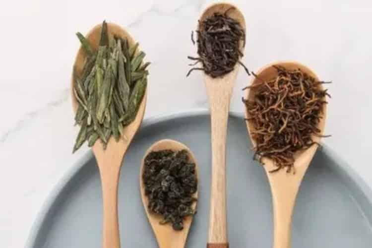 绿茶和红茶的区别_绿茶和红茶有哪些不一样