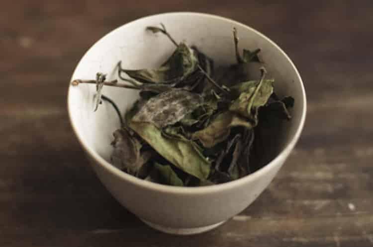 好白茶一般多少钱_价格通常在8000～10000元一斤