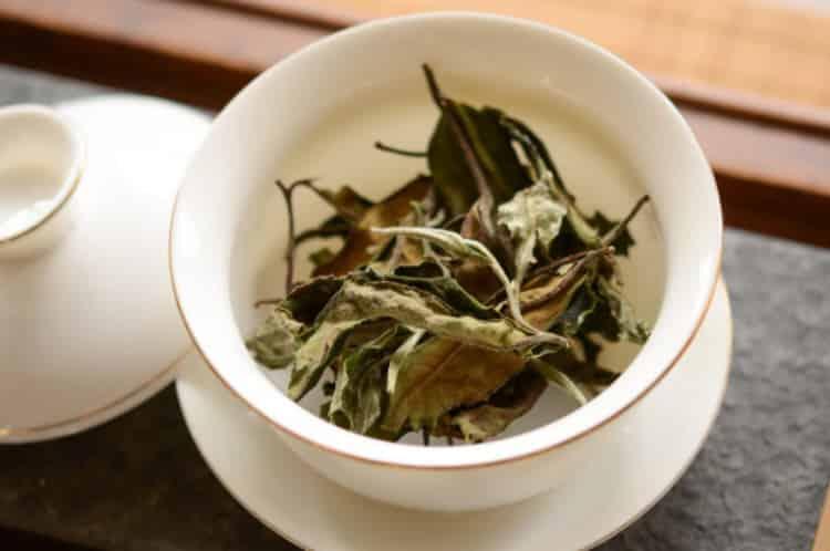 白茶属于绿茶吗