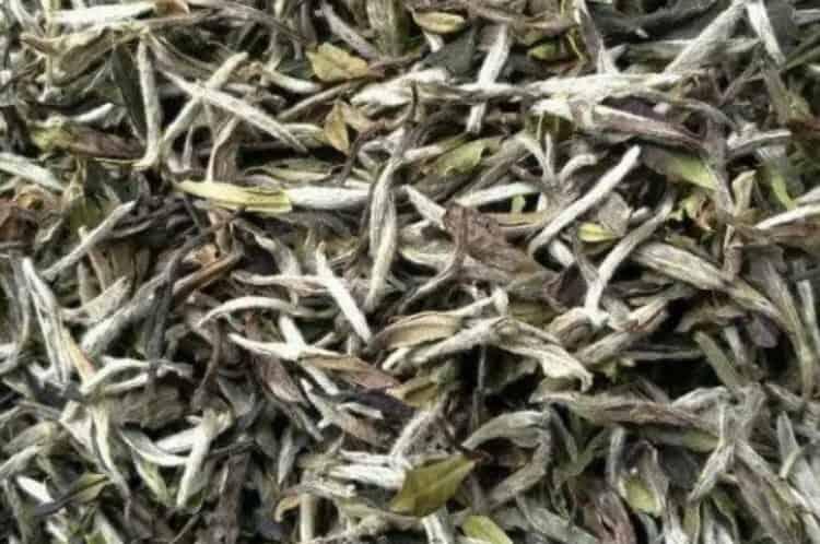白龙须属于什么白龙须贡茶是什么茶？