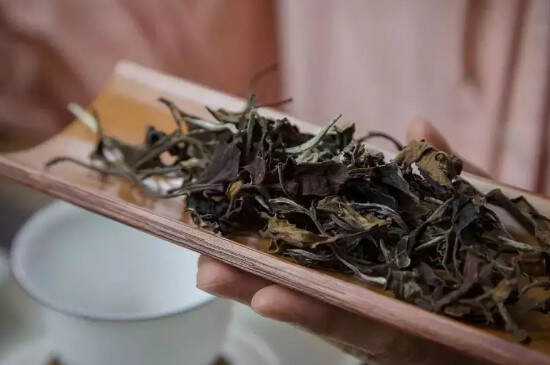普洱老白茶属于什么茶