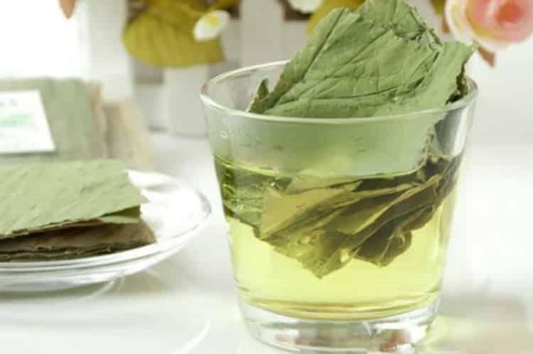夏季喝茶喝什么茶最好_夏季喝什么去湿气  喝绿茶最好（能有效