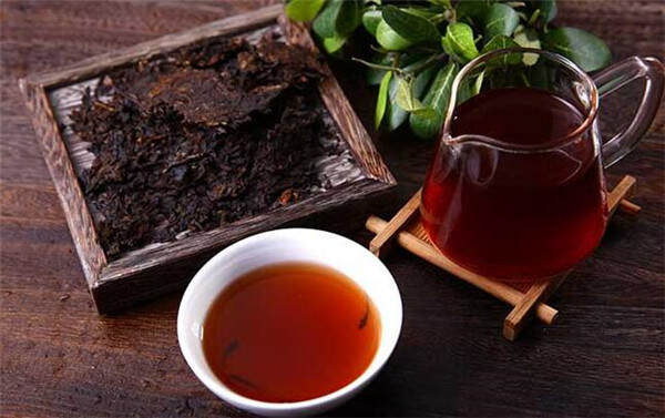 安化黑茶的收藏价值