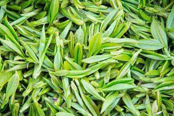 乌龙茶和绿茶的区别_乌龙茶和绿茶有哪些不同