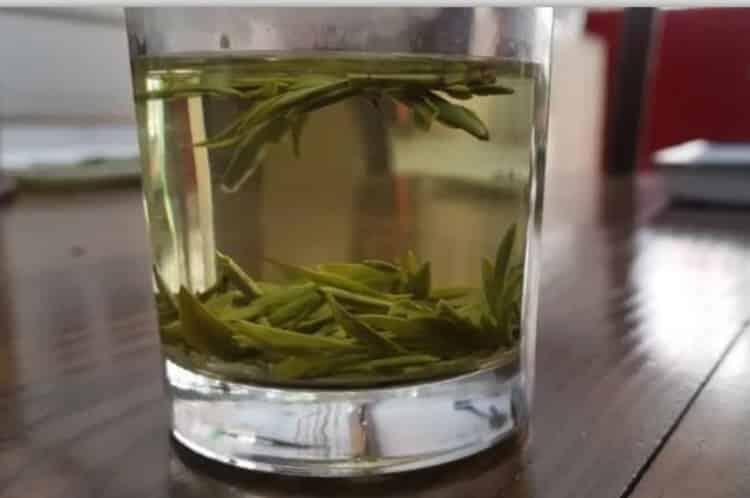 乌牛早茶多少钱一斤_乌牛茶市场价！