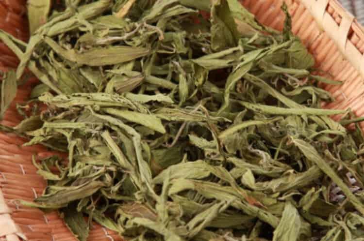 甜菊叶茶的功效与作用_喝甜菊叶茶有什么好处？