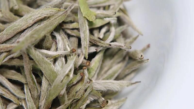 如何鉴别白茶的质量