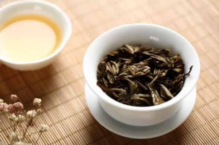 好白茶一般多少钱_价格通常在8000～10000元一斤