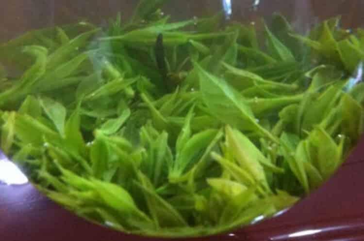 野茶属于什么茶叶品种_野生茶有哪些品种？