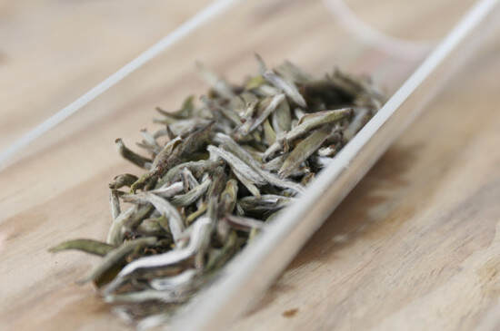 福鼎大白茶是什么茶种