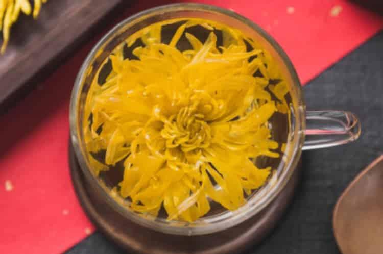 金丝皇菊花茶的功效与作用_饮用金丝黄菊茶具有什么好处