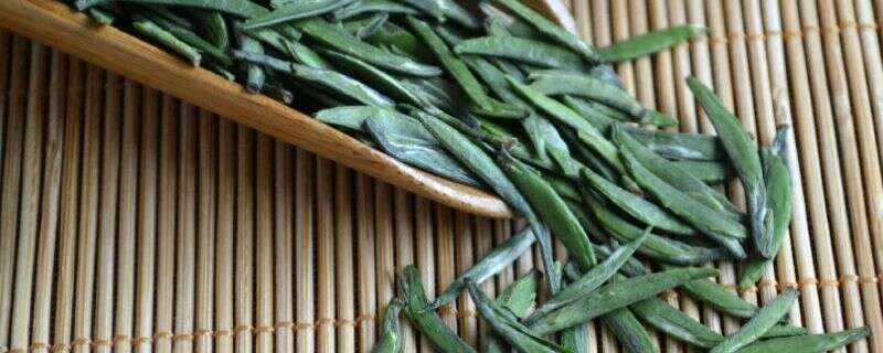 竹叶青属于什么茶