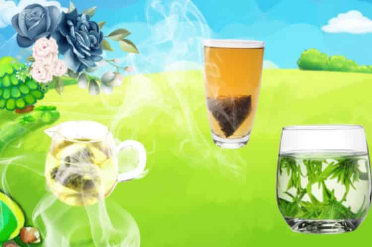 乌龙茶和绿茶的区别是什么