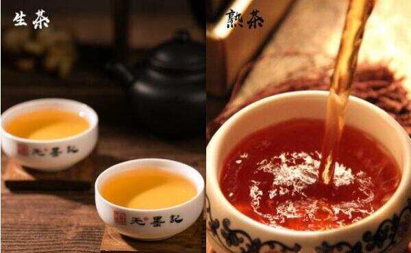熟茶和生茶哪个更刮油，生茶刮油效果更好（减肥效果更好）