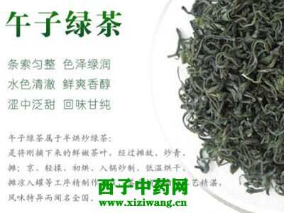 【茶功效】午子绿茶的功效与作用 喝午子绿茶的好处