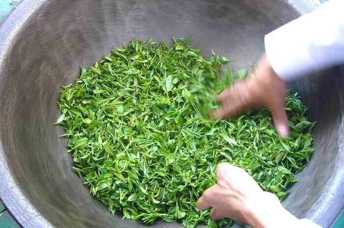 茶叶是怎么制作出来的？手工绿茶制作工艺流程分享