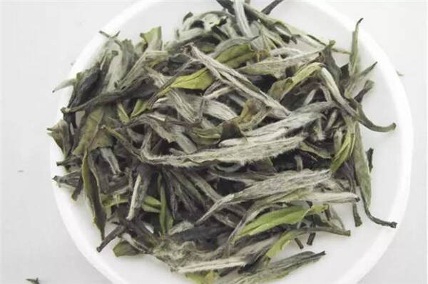 高山白茶原料优质（一杯高山白茶，饮尽南国春色）