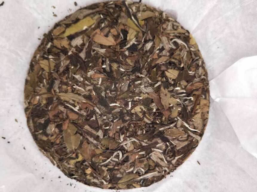 古代白茶
