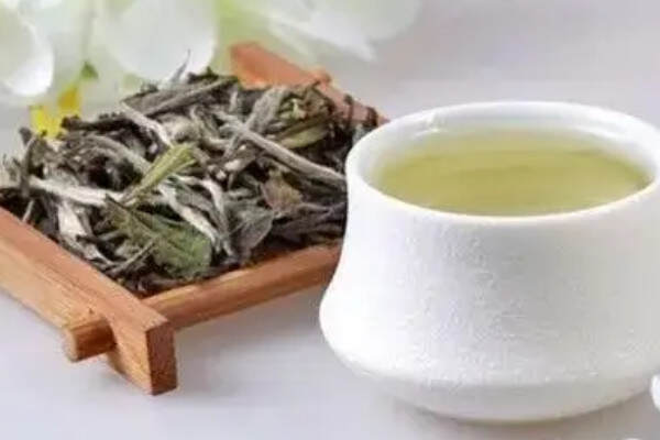 白茶和绿茶有什么区别_白茶和绿茶哪个好