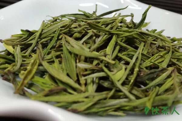 安吉白茶属于什么安吉白茶是什么茶类?