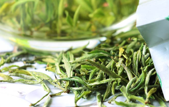 黄山毛峰是否属于炒青绿茶