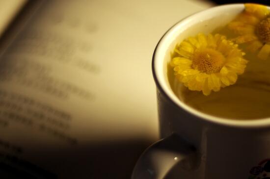 经常菊花泡水好吗_喝菊花茶有什么好处？