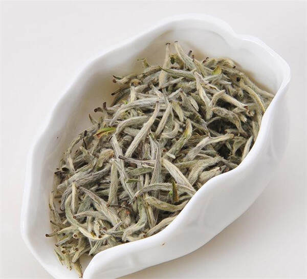 多喝白茶可有效提升人体免疫力（白茶可修复肺功能提高免疫力