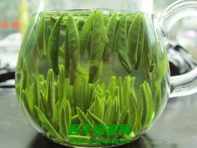 【茶功效】常喝绿茶的功效与作用 常喝绿茶的副作用
