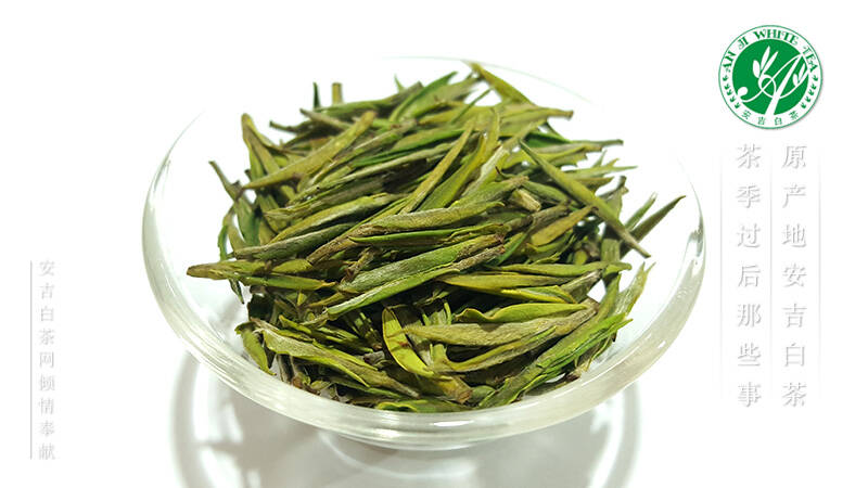 安吉白茶有几种香型