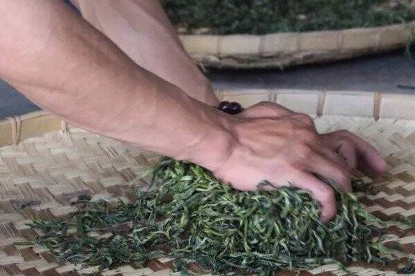 绿茶制作工艺步骤_绿茶制作的第一工艺是什么