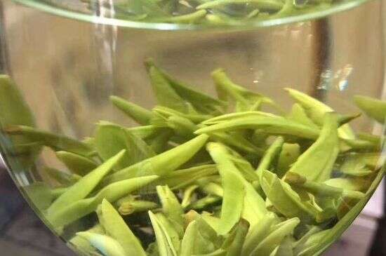 西湖龙井茶的冲泡方法，如何泡西湖龙井茶？