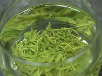 【茶功效】绿雪芽的功效与作用 喝绿雪芽的好处