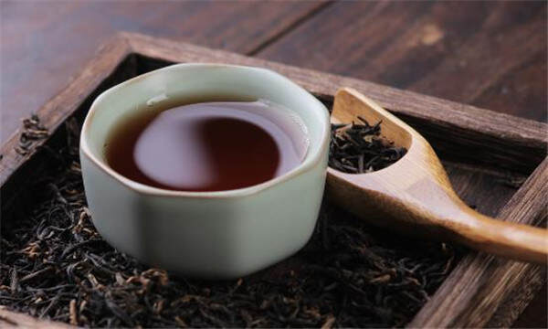 白茶基础知识贴，介绍红茶