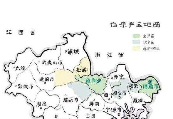 白茶产地_中国最大的白茶产地在哪里？